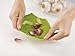 Joseph Joseph Scroll Silicone Garlic Peeler, Green