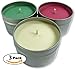 Candlecopia Christmas Hearth, Mistletoe and Christmas Splendor Strongly Scented Sustainable Vegan Natural Soy Travel Tin Candles, 3-Pack