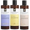 Pack-of-3-Champneys-Awaken-Slumber-Calm-Body-Cleanser-x-350ml-Bergamont-Lavender-Patchouli-Cedarwood-Geranium-essential-oil-notes (Pack of 3) Champneys Awaken, Slumber & Calm Body Cleanser x 350ml Bergamont, Lavender, Patchouli, Cedarwood, Geranium…