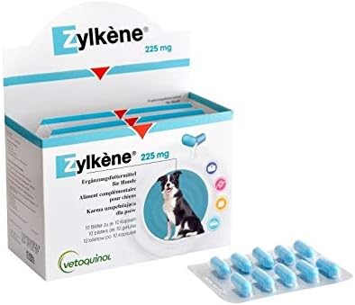 dogs that look like miniature huskies