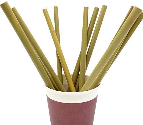 Organic Bamboo Drinking Straws 7.6" Biodegradable Reusable Alternative to Plastic Straws. Set of 12 plus Soft Fiber Cleaning Brush (12)