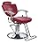 BestSalon Commercial Quality Auto Recline Shampoo Chair