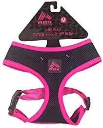 rbx dog harness