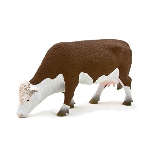 Hereford Cow Grazing by Mojo