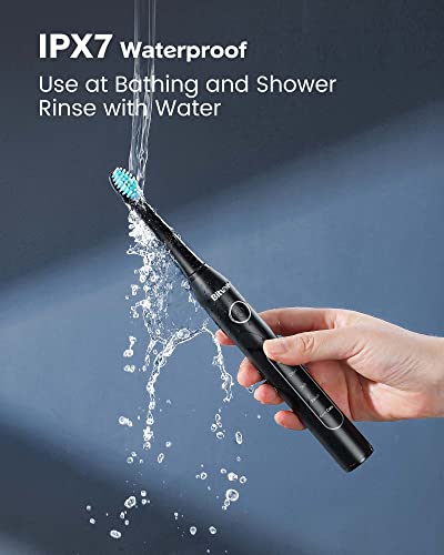 Bitvae Electric Toothbrush with 8 Brush Heads , 5 Modes Sonic Electric Toothbrush with Toothbrush Holder for Adults , Travel Rechargeable Power Toothbrush with Timer , Ultrasonic Toothbrush