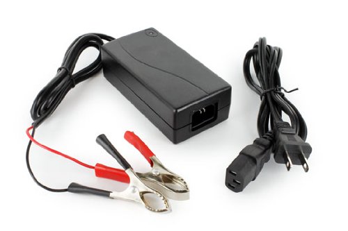 Tenergy Smart Charger for 11.1V Li-ion/LIPO Battery Pack
