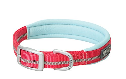 Terrain D.O.G. Reflective Neoprene Lined Dog Collar