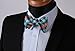 HISDERN Self Tie Bow Ties for Men Check Plaid Aqua Bow Tie and Pocket Square Green Classic Formal Bowtie Tuxedo Wedding Bowties Handkerchief Set