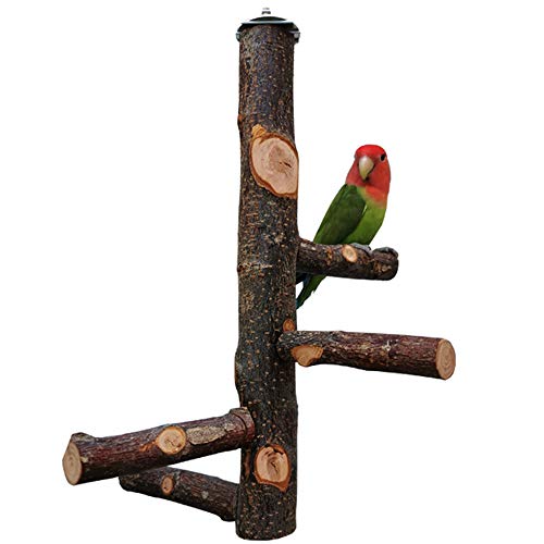 image for kathson Parrots Perch Natural Fruit Wood Stand Toy Branch Paw Grinding