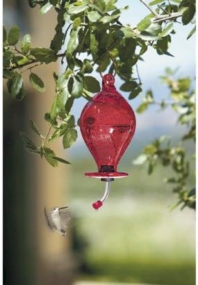 Amazon Com Smith And Hawken Hummingbird Feeder Red Everything Else
