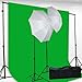 Chromakey Green Screen Kit Lighting Kit 400 Watt Video Lighting Kit by fancierstudio - 6x9-Feet Green Screen (H69G)