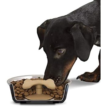 Loving Pets Gobble Stopper Slow Pet Feeding Supplies for Dogs, Medium