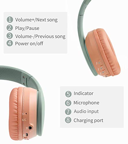 Lobkin Over The Ear Bluetooth Headphones with Microphone, Foldable Hi-Fi Stereo Noice Reduce Earphones for Class, Home Office, Game/TV/PC/Phone Comfortable Steel Wireless Headphone