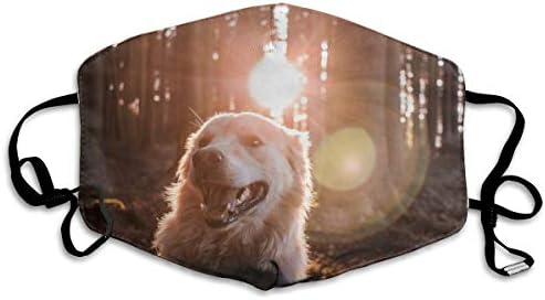 Thuth Dog in Forest with Sun Rays Dust-Proof Washable Mask - Reusable Mask - Suitable for Men and Women's Masks