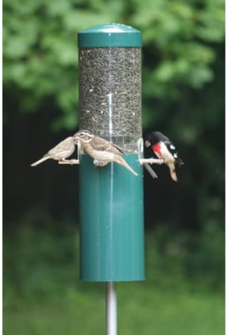 Amazon Com Birds Choice Classic Bird Feeder With Baffle Pole