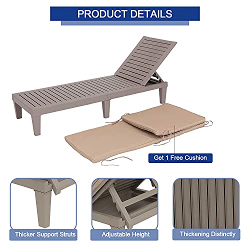 BPTD Outdoor Chaise Lounge Chair Resin Recliner Chair with 5 Positions