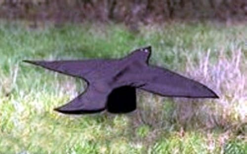 WESTERN RIVERS CROW DECOY