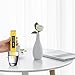 ISAIBELL Digital PH Meter Tester, 0.01 High Accuracy Quality 0-14 Measurement Range for Household Drinking, Pool and Aquarium Water PH Tester Design with ATC.