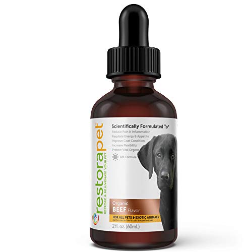 RestoraPet 1-Pack Dog & Cat Beef Liquid Multivitamin | Dog Arthritis Pain Relief | Hip & Joint Vitamins for Dogs - Anti Inflammatory Supplement for Dogs & Cats | Organic & Non-GMO, Vet Approved - Thumbnail 7
