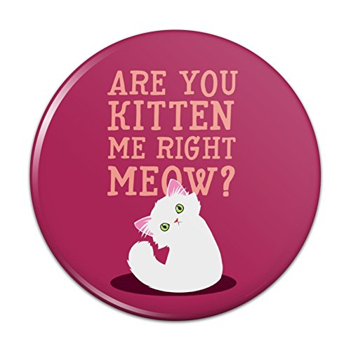 Are You Kitten Me Right Meow Cat Pinback Button Pin Badge - 2.25