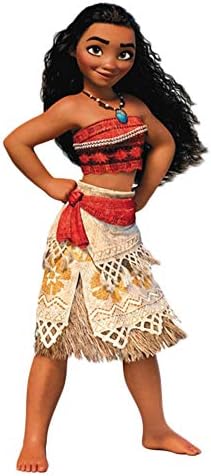 Moana Cosplay Costumes Halloween Cosplay Dress Cosplay Outfit Top Skirt 4pcs Set