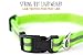 Mighty Paw Waterproof Dog Collar - Odor-Resistant Active Gear - Reflective Stripe Coated Nylon Webbing - Waterproof Dog Collar Swimming - Comfortable Dog Collar for All Dog Breeds - (Green, Large)
