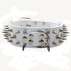 haoyueer 2 inches Wide Leather Sharp Rivets Dog