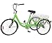 H&ZT Adult Tricycle Trike 7 Speed 3 Wheel Bike with Large Basket and Maintenance Tools, 24/26 Inch Wheel Size Bike Trike, Men’s Women’s Cruiser Bike (Apple, 1-Speed, 26 Inch)thumb 1