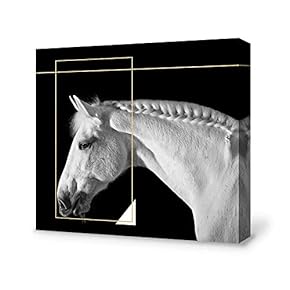 Black and White Horse Home Artwork for Living Room Bedroom