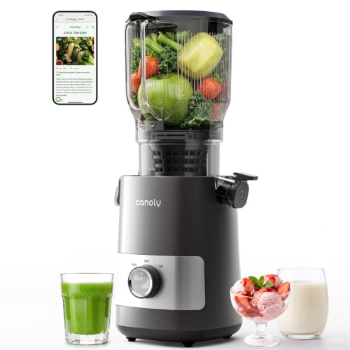 Canoly 3-in-1 Cold Press Juicer C07, Makes Juice & Sorbet & Nut Milk