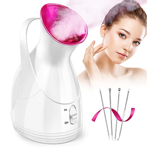 Nano Ionic Vaporizador Facial Steamer for Facial Deep Cleaning Warm