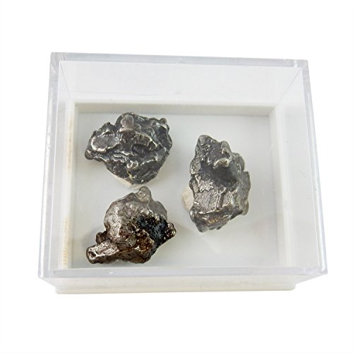 3 (three) authentic meteorites from campo del cielo in …