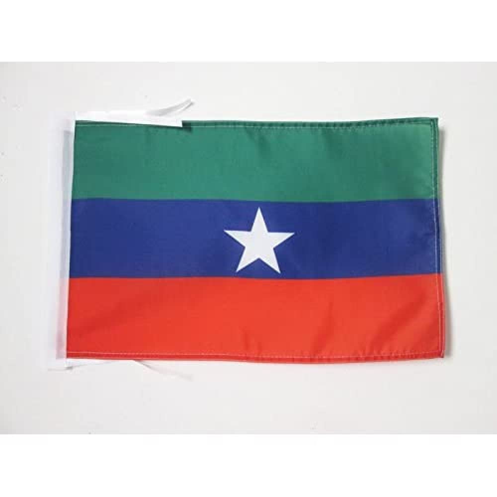 AZ FLAG - Ogaden separatist Flag - 18'' x 12'' - 100% Polyester ogadena autonomist Small Banner with Two Cords - Fade Resistant - Vivid Colors - 18x12 in - 45x30 Cm โ image 1