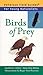 Birds of Prey (Peterson Field Guides: Young Naturalists)