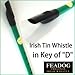 Feadóg Brass Traditional Irish Tin Whistle in the Key of D, Green Colour