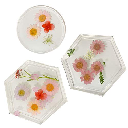 Aunifun Real Dried Pressed Flowers Assorted Colorful Daisies for Art Craft DIY Silicone Coaster Resin Molds - Thumbnail 4