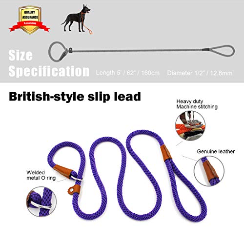 lynxking Dog Leash Rope Strong Heavy Duty Braided Rope Slip Leads No Pull Training Lead Leashes for Medium Large Dogs (5', Purple)