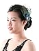 Aukmla Peacock Feather Headband, Hair Accessories for Women and Girls on Party and Evening.,multi,Free Size