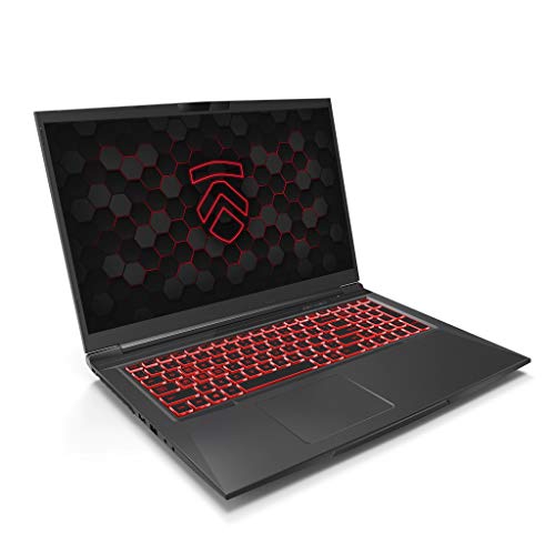 Matrix RP-17 Ultra Performance Gaming Laptop PC: AMD Ryzen 4800H
