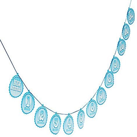 1 1St Birthday Boy Monthly Photo Garland New