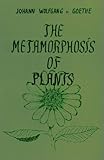 "Metamorphosis of Plants" av Johann Wolfgang von Goethe