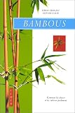 Bambous : Comment les cultiver facilement by