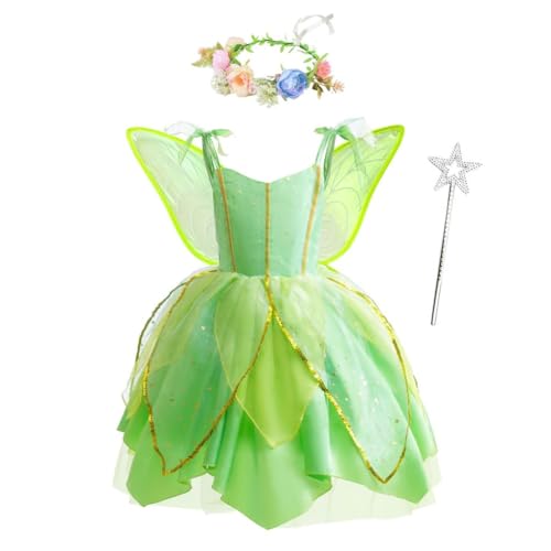 Dress With Wings&wreath&wand