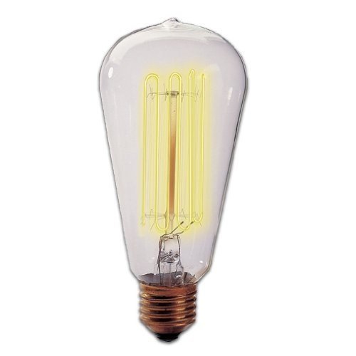 Bulbrite 134019 40W Nostalgic Edison Squirrel Cage-style Incandescent  Bulb - 2 Pack