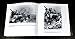 Waffen-SS KURSK 1943 Volume 6 (Archive Series)