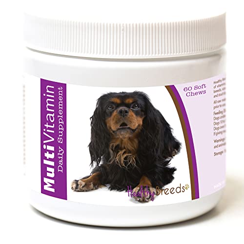 Healthy Breeds English Toy Spaniel Multi-Vitamin Soft Chews 60 Count