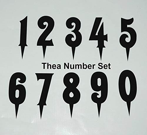 Age Birthday Cake Topper Double Digits Any Number You Choose 10 20 21 Etc