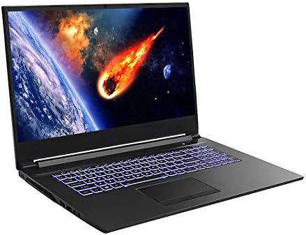 HoMei 32 GB RAM, 256 GB SSD, 17.3" IPS Full HD 6 Core 9th Gen Intel Core i7-9750H Gaming Notebook Laptop, NVIDIA GeForce GTX 1660 Ti 6 GB GDDR6 graphics, 1 TB HDD, Backlighting Keyboard