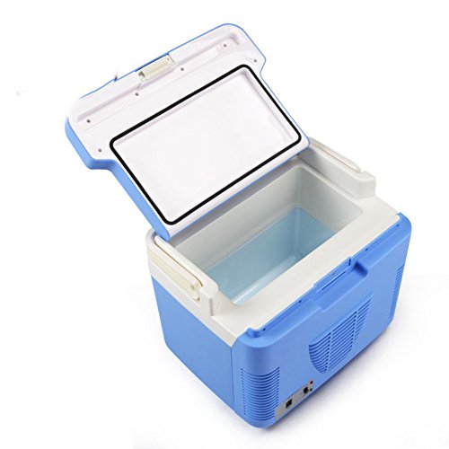 SL&BX 10l double refrigeration mini fridge,Mini small home single door bedroom cosmetic mask car dormitories mini fridge-Blue 28x15x22cm(11x6x9inch)