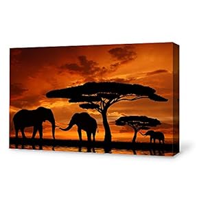 Canvas Wall Art for Living Room,Bedroom Home Artwork Paintings Charming Sunset Ready to Hang - 12x18 inches